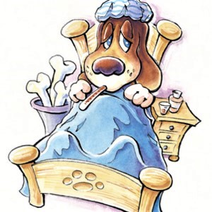 a sick doggy
